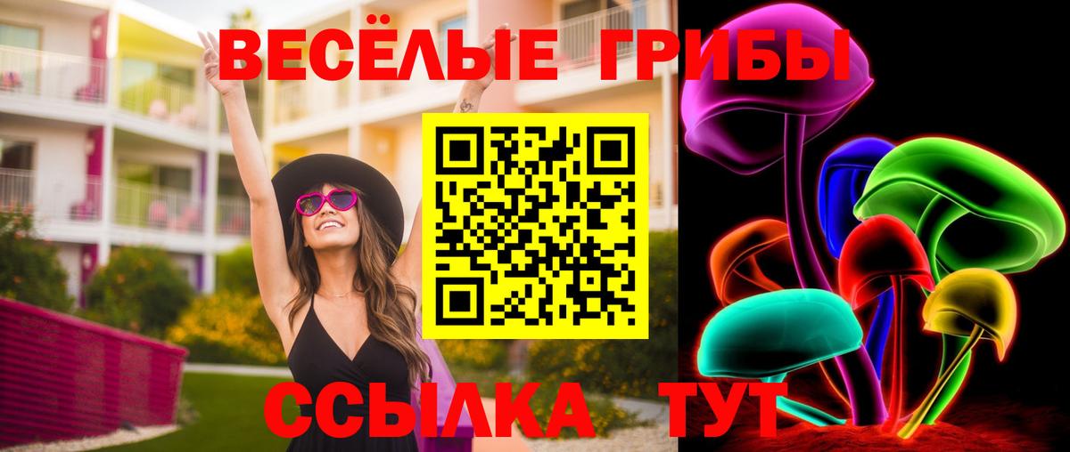 Псилоцибиновые грибы Psilocybine cubensis Донской